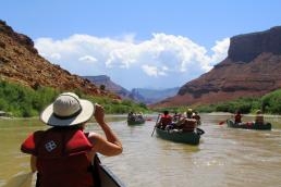 Stream of Canoes