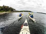 San Juan Islands, WA, Sea Kayaking: Eagles & Orcas