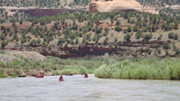 Dolores River Canoeing - Northern Colorado Adventurers (NCA)