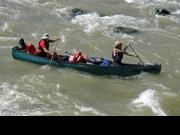 Gunnison River Canoeing: Denver Museum-Dinosaur