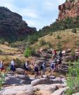 Colorado River Canoeing: Farm to Table Trip (Private)