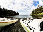 San Juan Islands, WA, Sea Kayaking: Eagles & Orcas