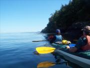 San Juan Islands, WA, Sea Kayaking: Eagles & Orcas