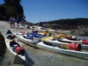 San Juan Islands, WA, Sea Kayaking: Eagles & Orcas