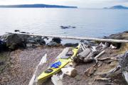 San Juan Islands, WA, Sea Kayaking: Eagles & Orcas