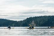 San Juan Islands, WA, Sea Kayaking: Eagles & Orcas