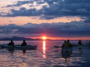 San Juan Islands, WA, Sea Kayaking: Eagles & Orcas