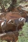 Gunnison River Canoeing: OLLI at DU Archaeology