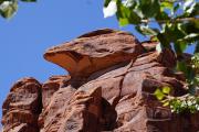 Gunnison River Canoeing: Seth Kent Birthday Trip