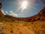 Gunnison River Canoeing: Family Trip - Paddle & Games