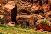 Gunnison River Canoeing: Nature's Adaptations -- River to Desert with Denver Botanic Gardens