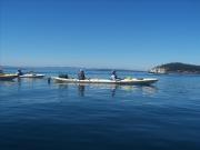 San Juan Islands, WA, Sea Kayaking: Eagles & Orcas