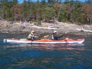 San Juan Islands, WA, Sea Kayaking: Eagles & Orcas