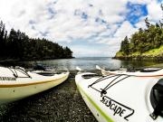 San Juan Islands, WA, Sea Kayaking: Eagles & Orcas