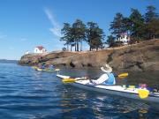 San Juan Islands, WA, Sea Kayaking: Eagles & Orcas