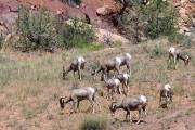 Colorado River Canoeing: Treasure Box Tours with Andy Gulliford