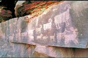 Colorado River Canoeing: Treasure Box Tours with Andy Gulliford