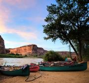 Colorado River Canoeing: Denver Museum, Dinosaurs